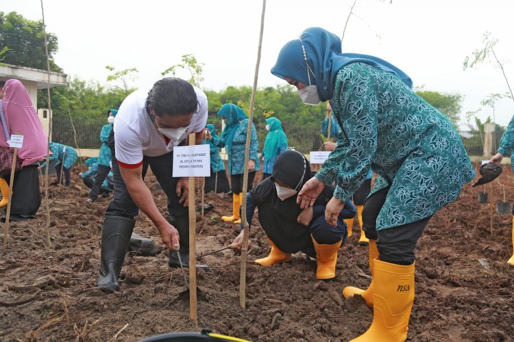 Pj Gubernur Al Muktabar Dukung Gerakan Tanam Kelor dan Tebar Ikan PKK Provinsi Banten Untuk Pemenuhan Gizi Keluarga