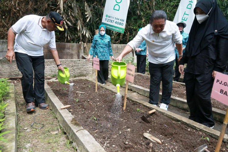 Pj Gubernur Banten Al Muktabar Ajak Optimalkan Pekarangan Rumah Untuk Ketahanan Keluarga